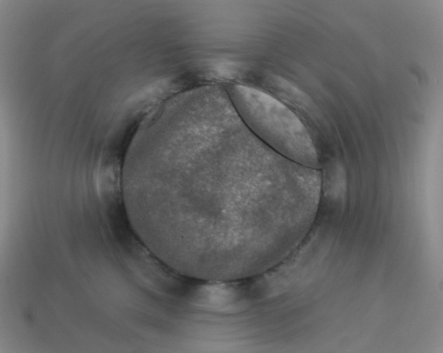 X0000113570425200910161522