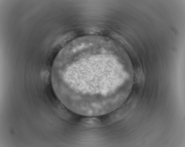 X0000113570427200910161522