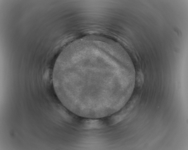 X0000113570428200910161522