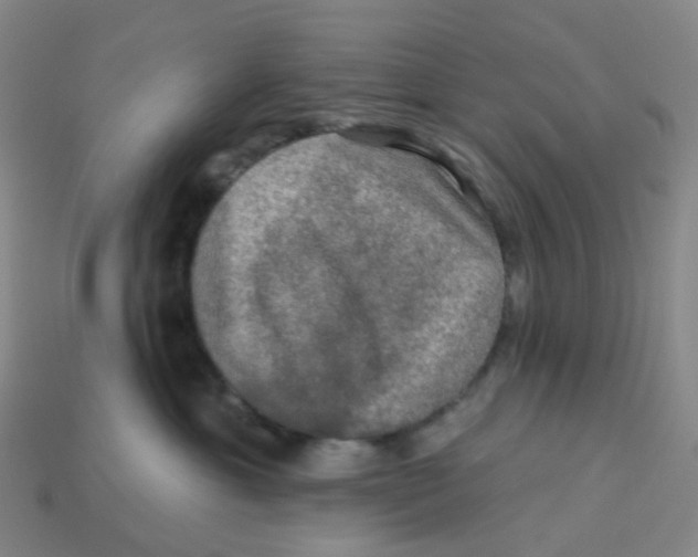 X0000113570429200910161522