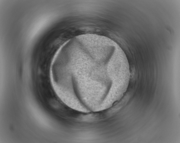 X0000113570430200910161522