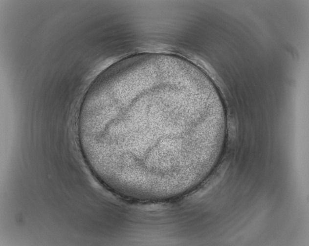 X0000113570433200910161521