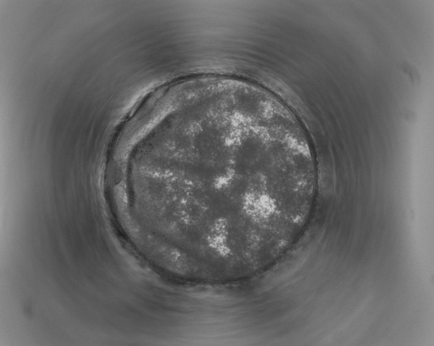 X0000113570434200910161521