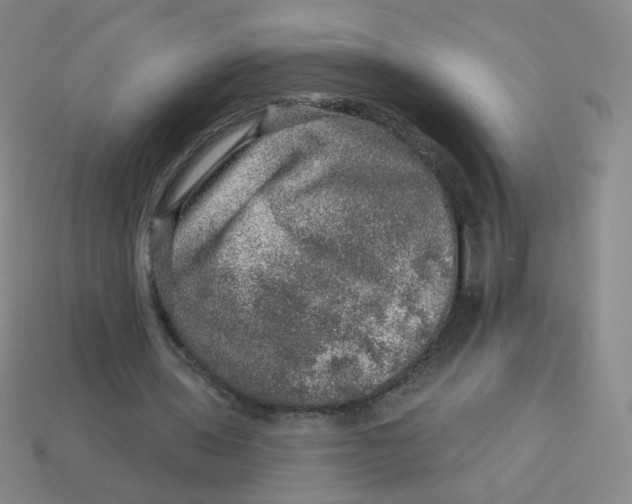 X0000113570435200910161521