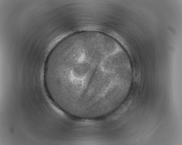 X0000113570437200910161521