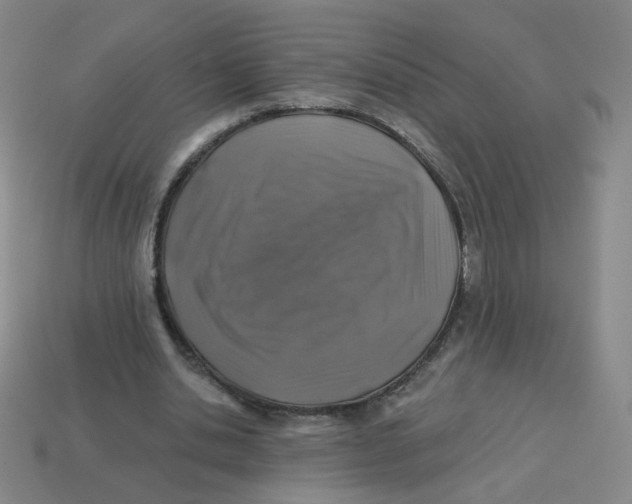 X0000113570438200910161521