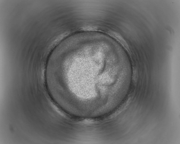 X0000113570441200910161521