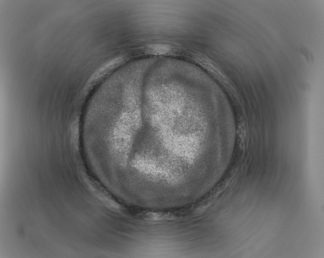 X0000113570442200910161521