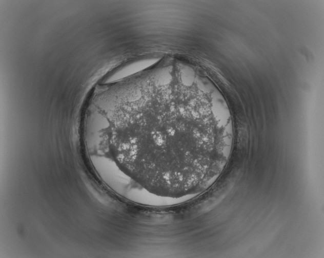 X0000113570443200910161521