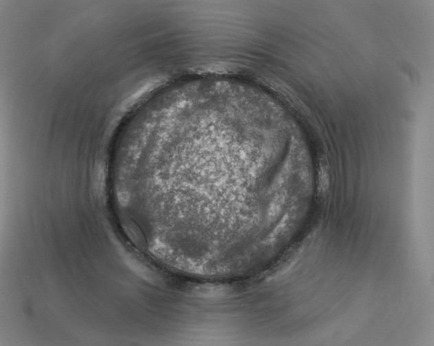 X0000113570444200910161521