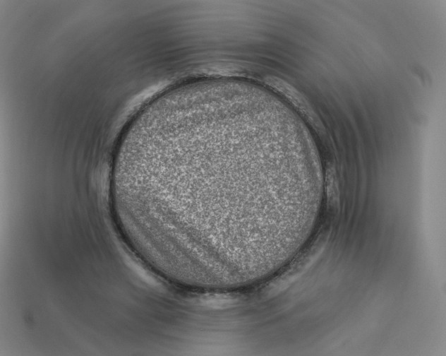 X0000113570445200910161521