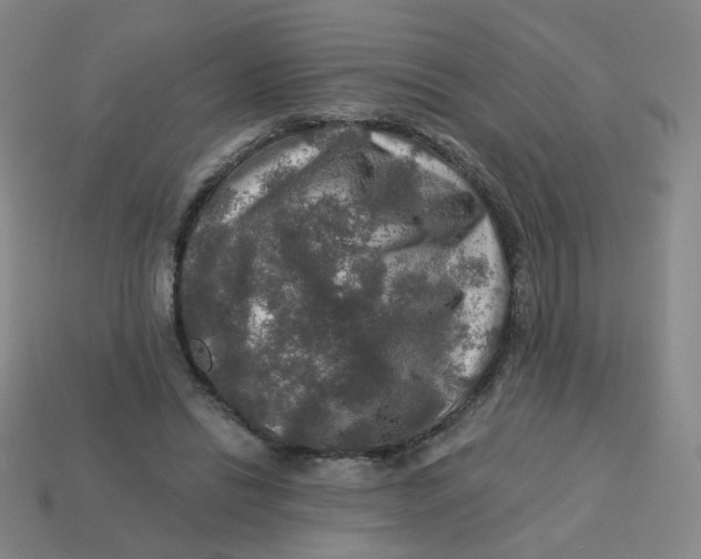 X0000113570446200910161521