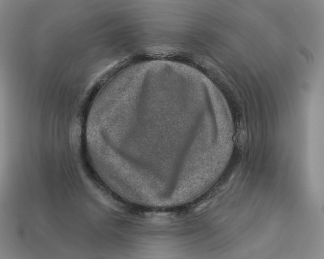 X0000113570448200910161521