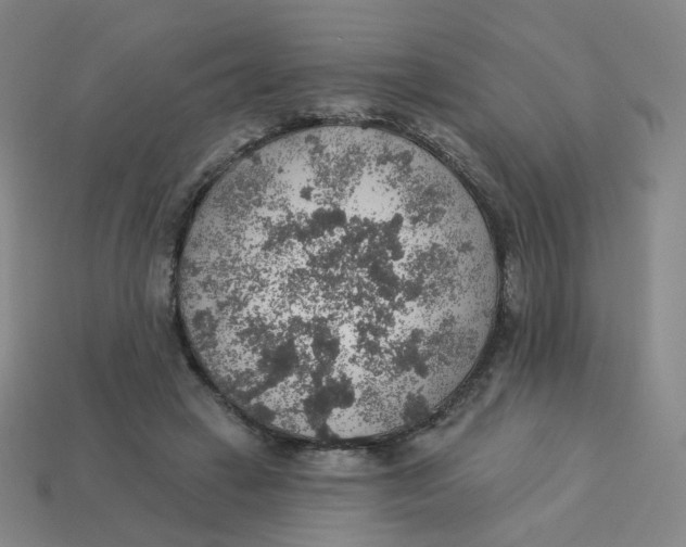 X0000113570449200910161521