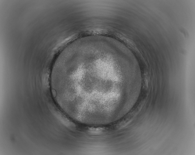 X0000113570450200910161521