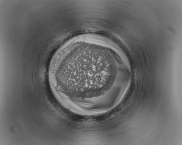 X0000113570451200910161521