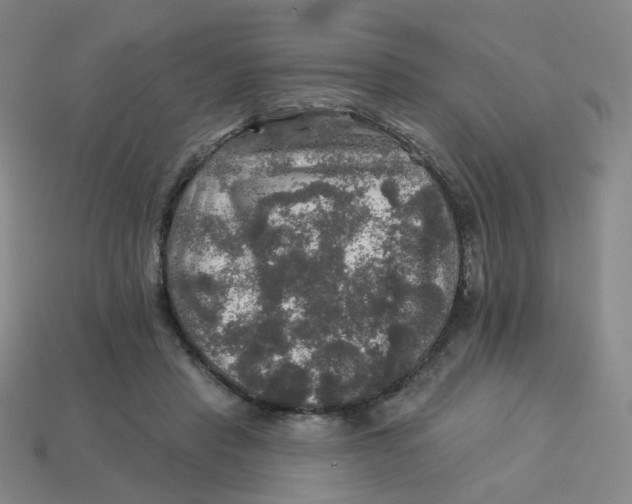 X0000113570453200910161521