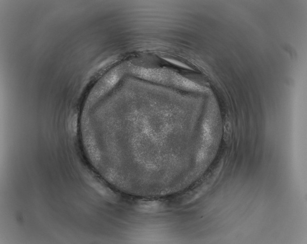 X0000113570454200910161521