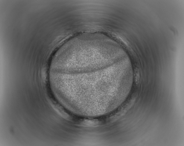 X0000113570455200910161522