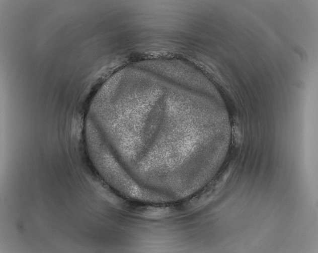 X0000113570458200910161522