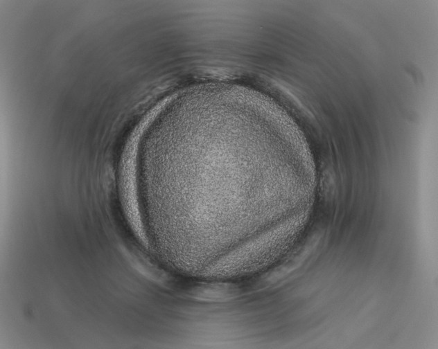 X0000113570459200910161522