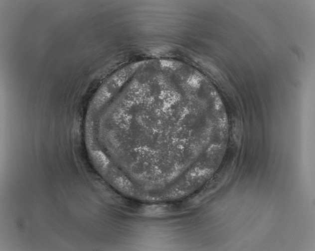 X0000113570461200910161522