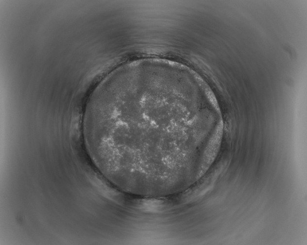 X0000113570462200910161522