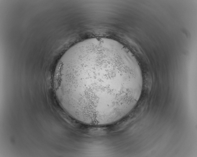 X0000113570465200910161522