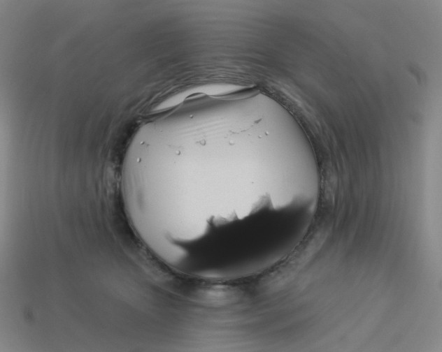 X0000113570467200910161522