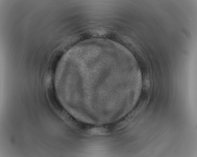 X0000113570468200910161522