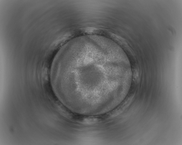 X0000113570470200910161522