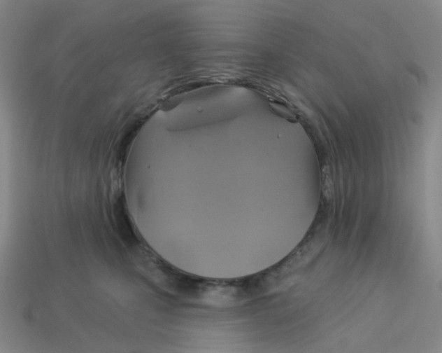 X0000113570471200910161522