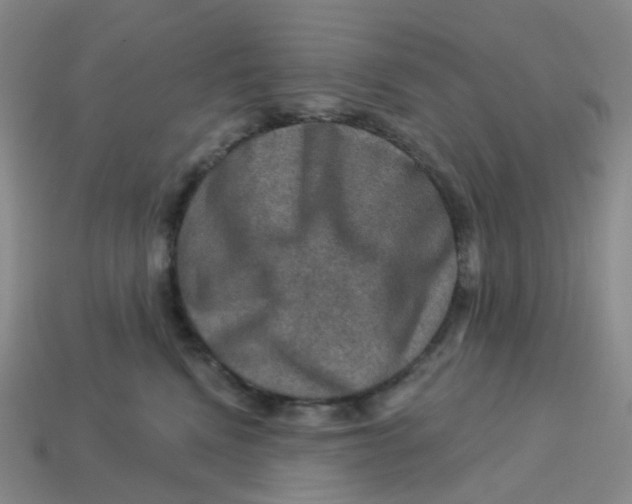 X0000113570472200910161522