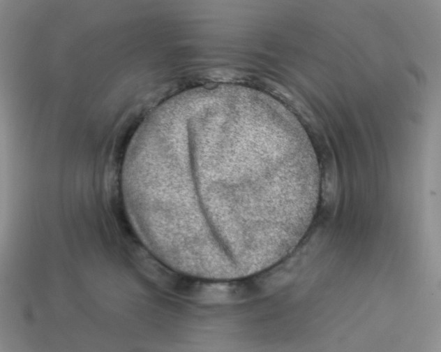 X0000113570473200910161522