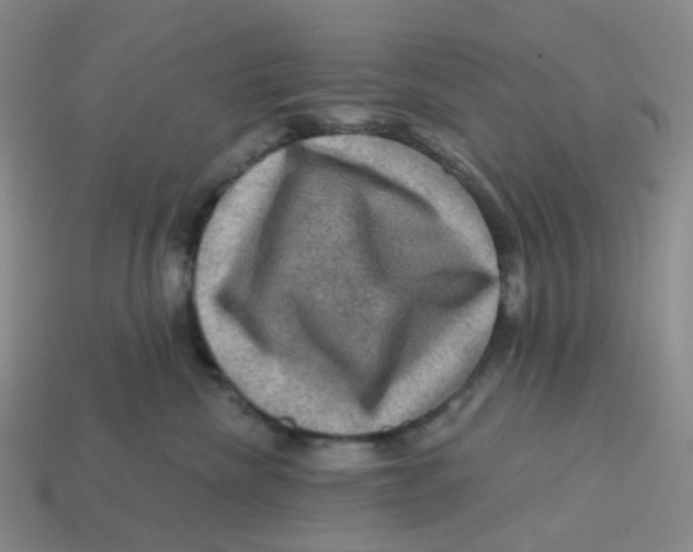 X0000113570476200910161522