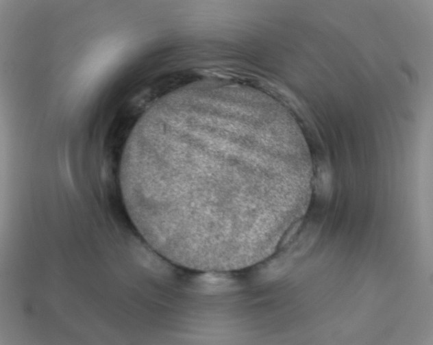 X0000113570477200910161522