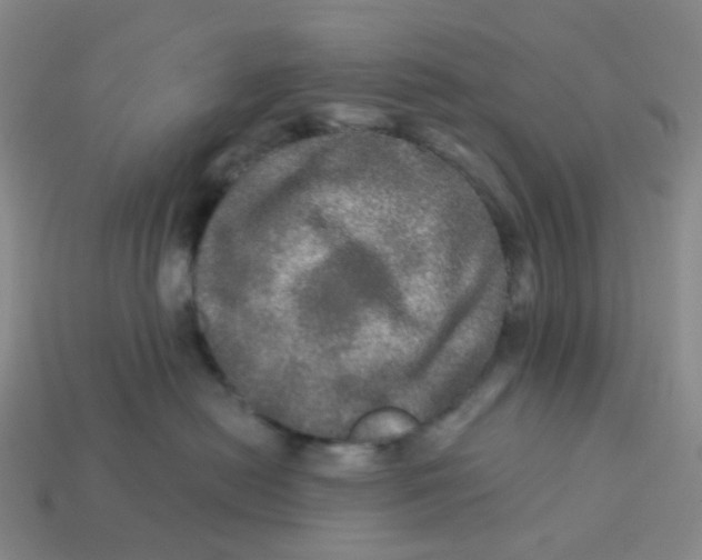 X0000113570478200910161522