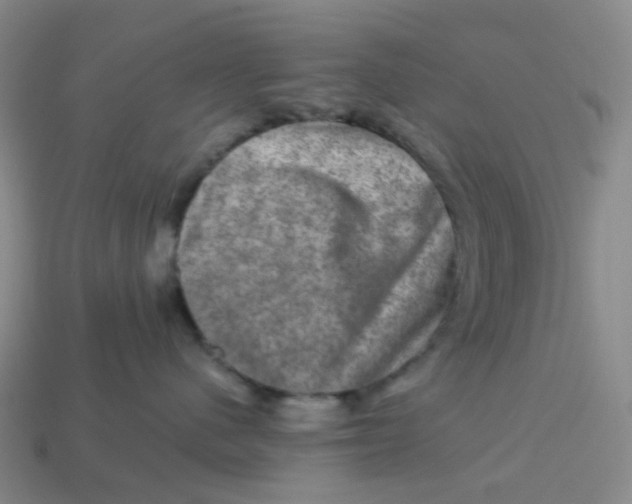 X0000113570480200910161522