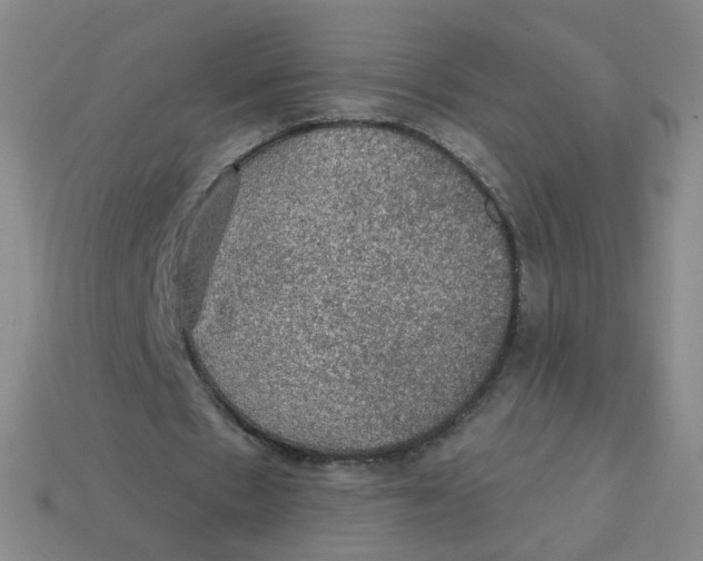 X0000113570481200910161521