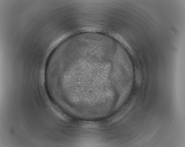 X0000113570486200910161521