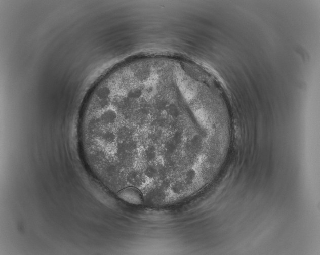 X0000113570487200910161521