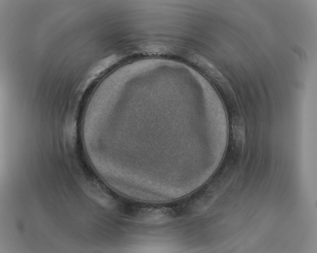 X0000113570488200910161521