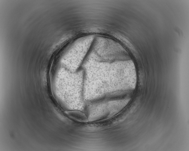 X0000113570489200910161521