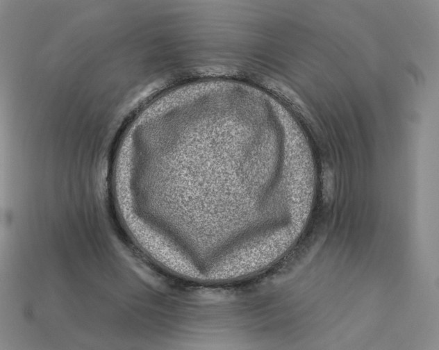 X0000113570490200910161521