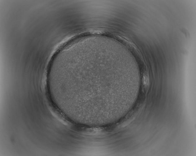 X0000113570492200910161521