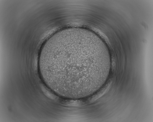 X0000113570493200910161521