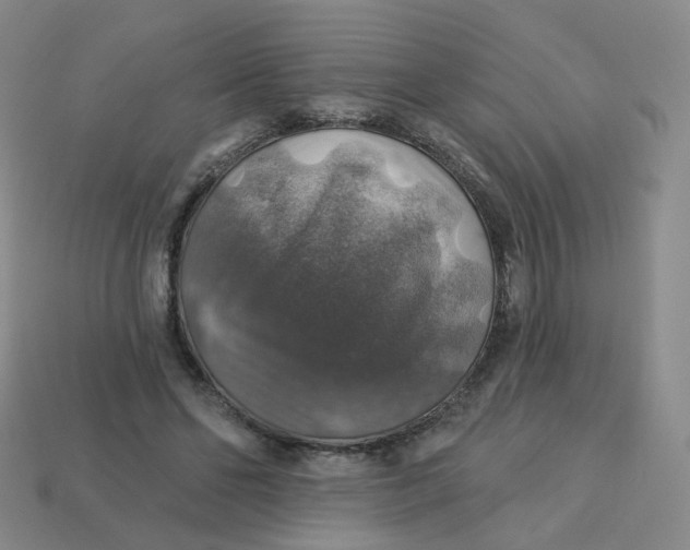 X0000113570494200910161521