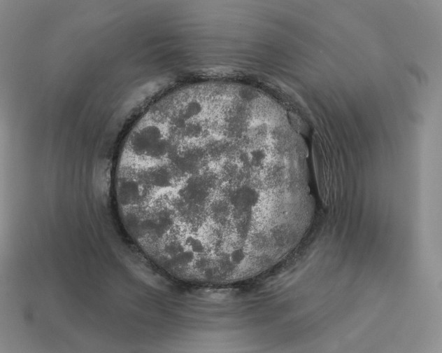 X0000113570495200910161521