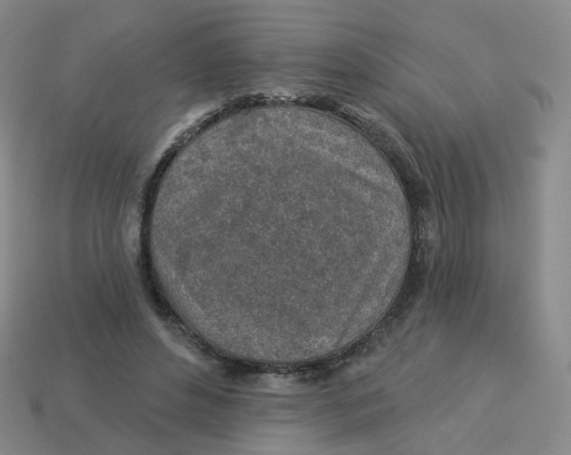 X0000113570496200910161521