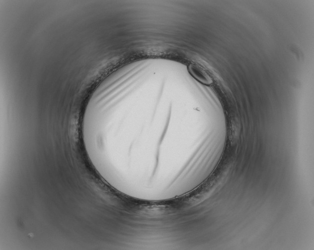 X0000113570497200910161521